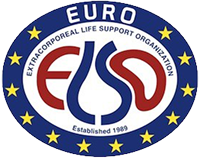 EURO ELSO